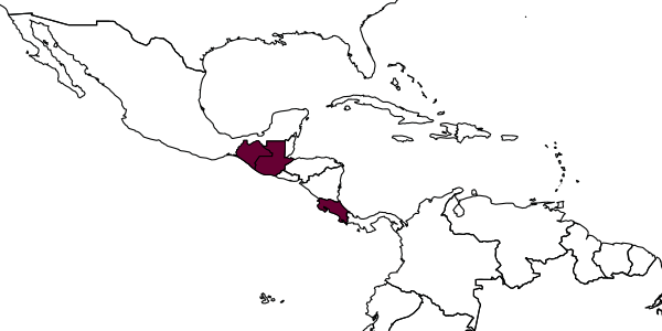 map of Rasopone mesoamericana     Schmidt & Branstetter, 2020